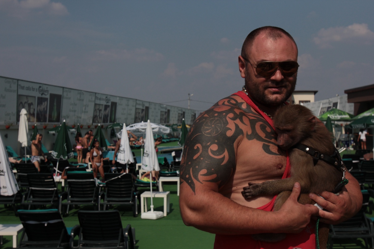 Box a povestit ca Leo ii tine loc de copil