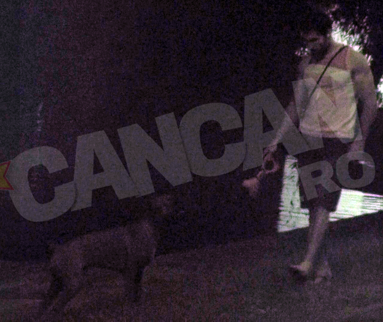 De mai multe ori, Tudy i-a aruncat jucaria lui Skip in apa