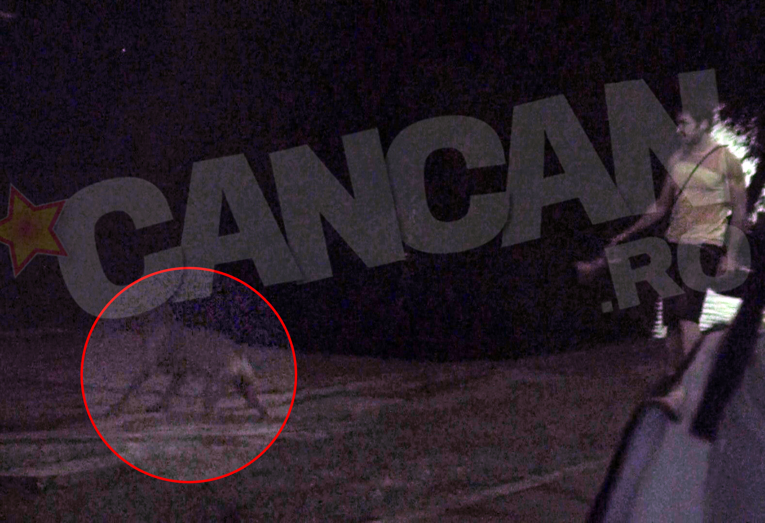 Skip sare in apa pentru a recupera jucaria