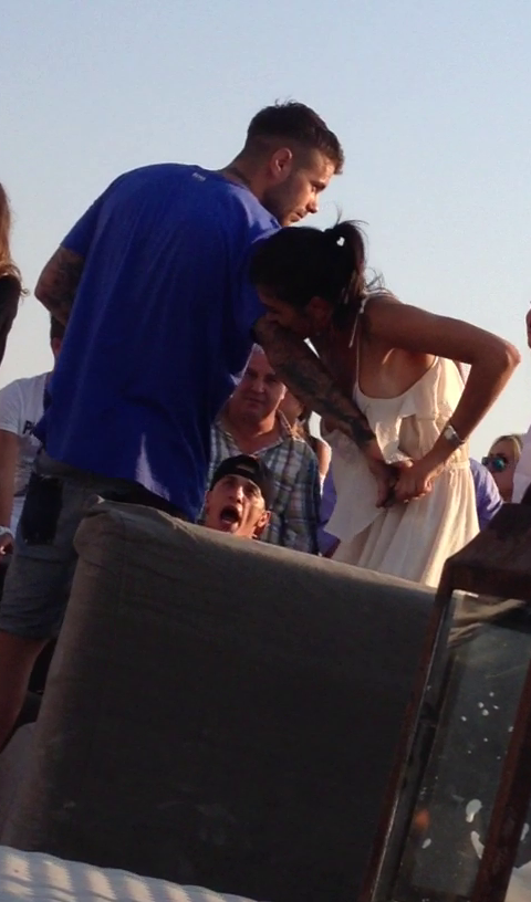 pamfile il musca pe daminuta