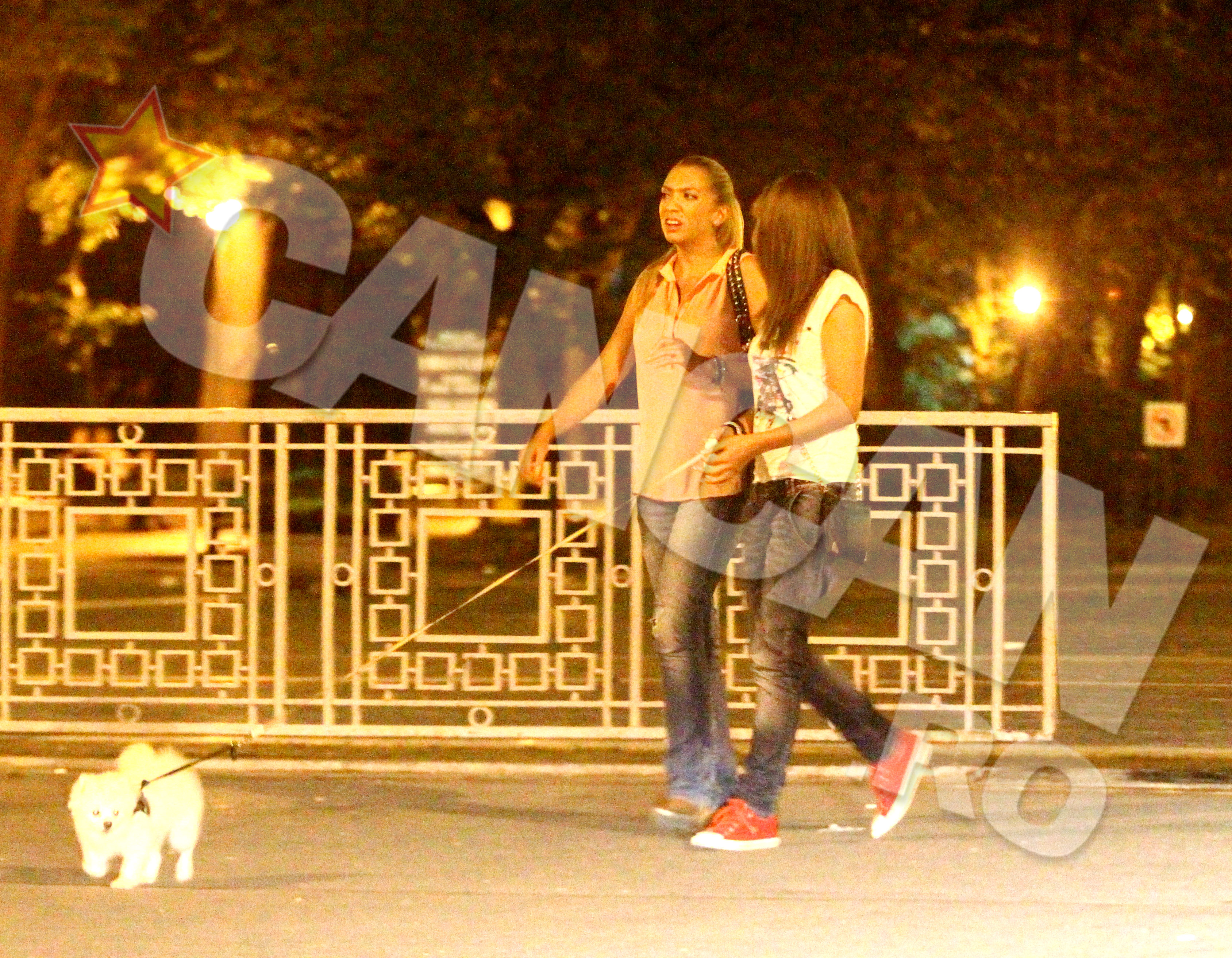 Dupa ce au fost lasate singura in terasa, cele doua femei ies la plimbare in Parcul Carol