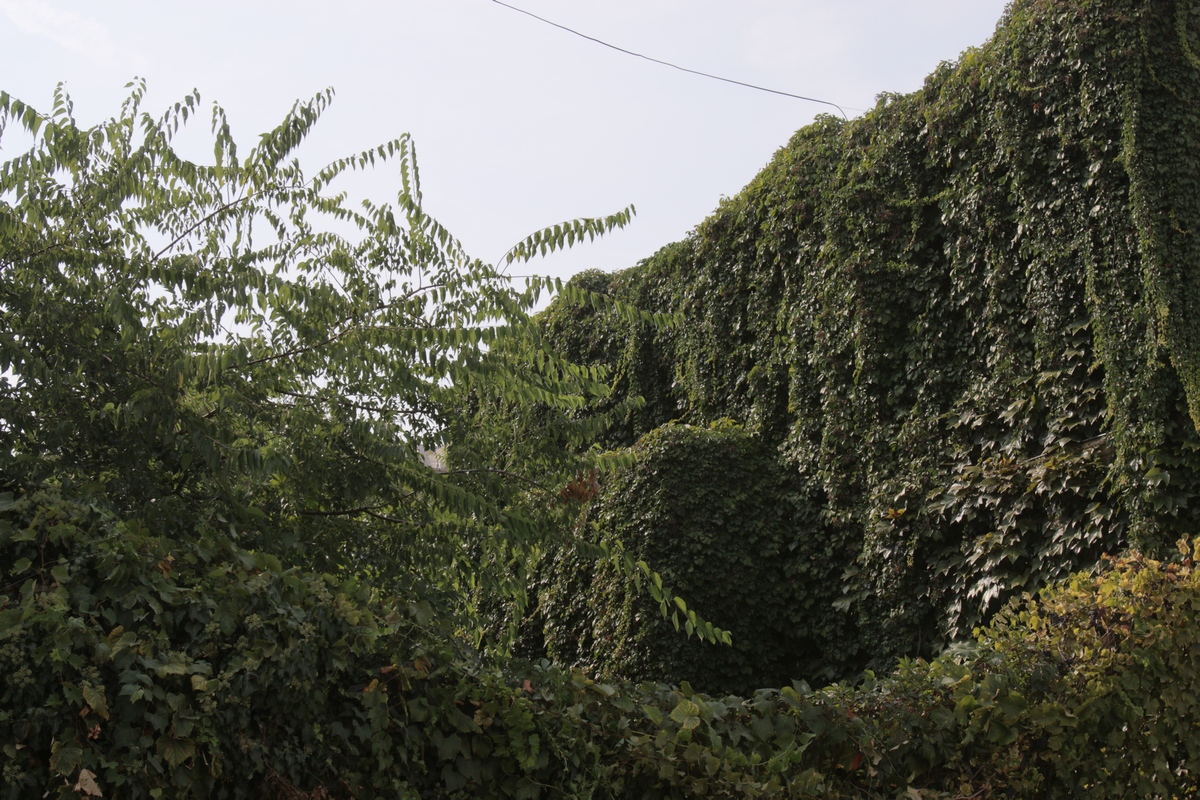 Legenda spune ca pe impozanta casa apare in noptile cu luna plina numarul 666