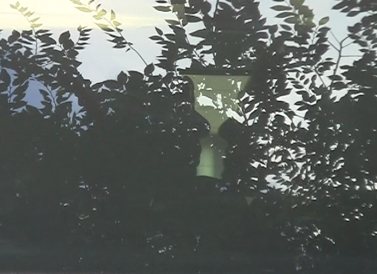 La fiecare semafor, Giani si-a sarutat iubita