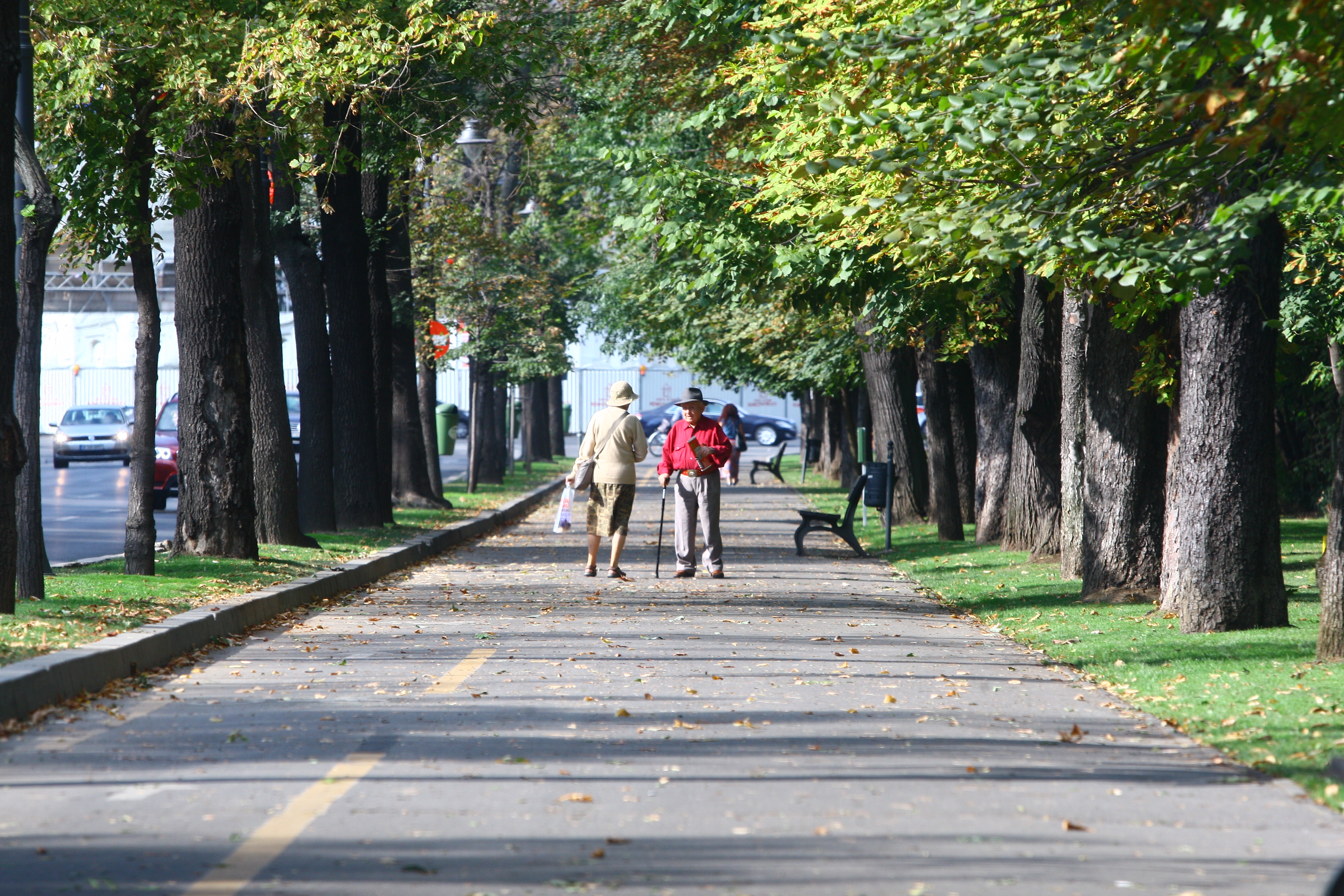 Ion Columbeanu este oprit de o venerabila doamna