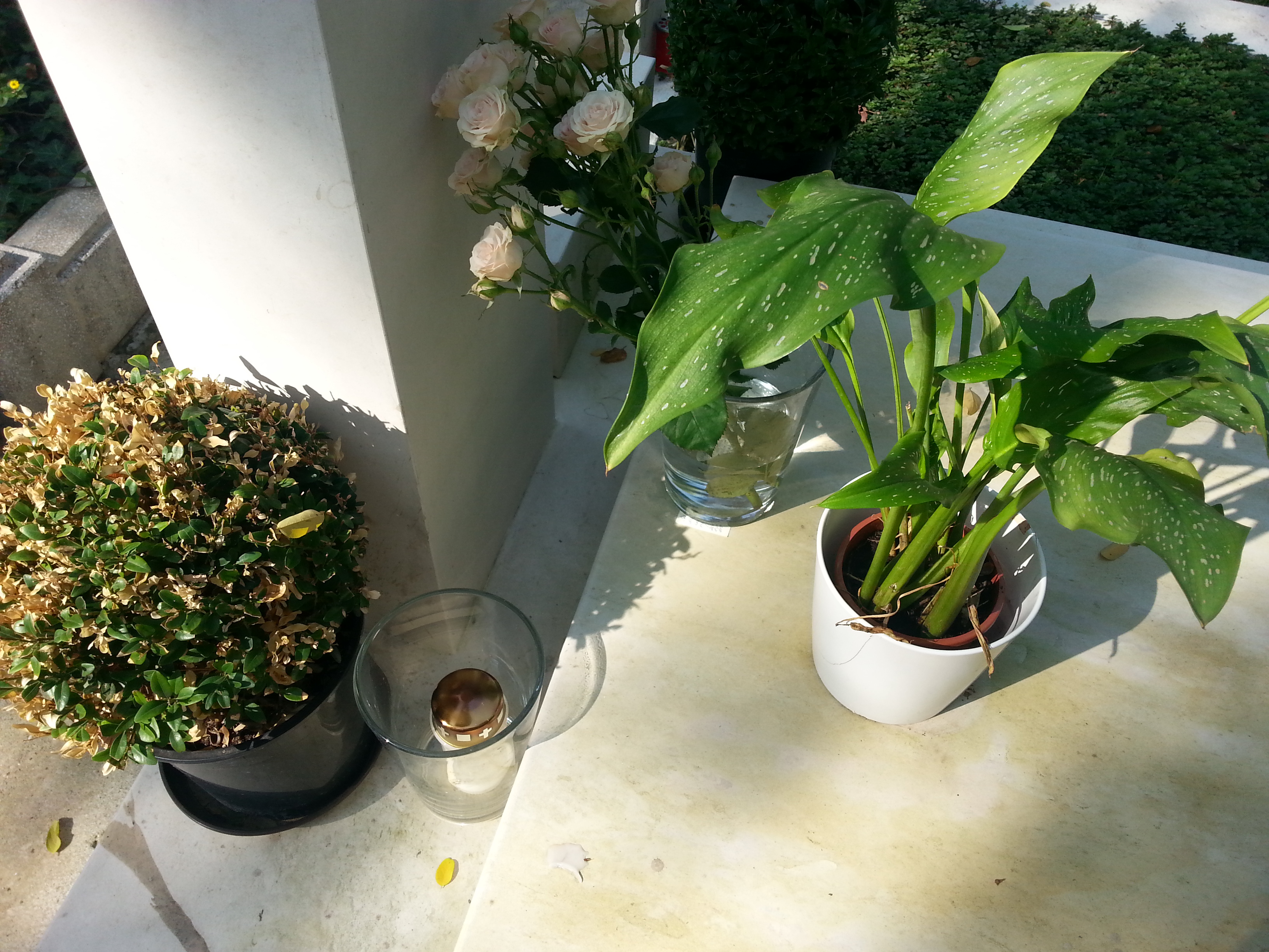 Zilele trecute doar o singura lumanare ardea la capataiul marelui regizor