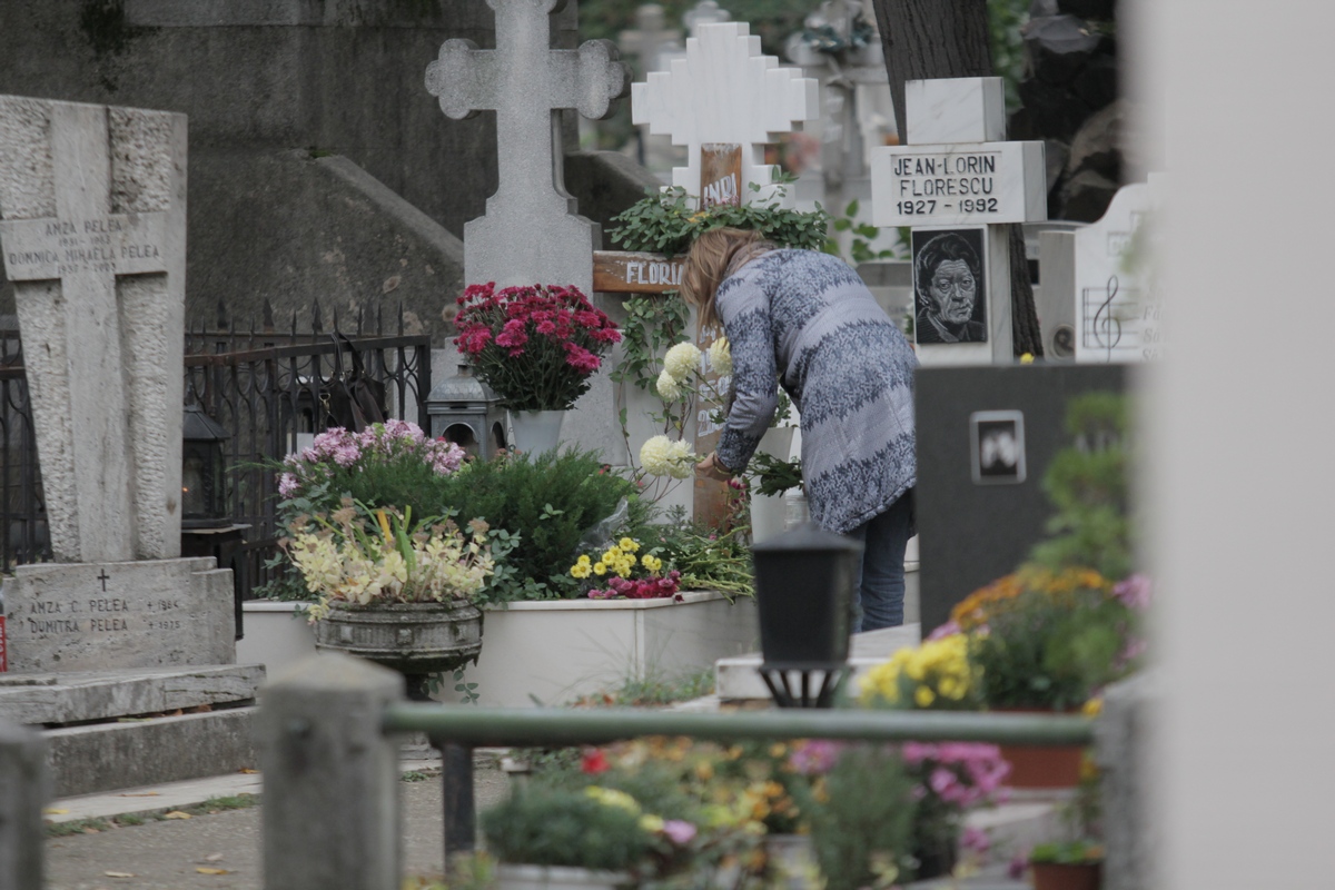 Anda a stat mai bine de o ora la capataiul artistului