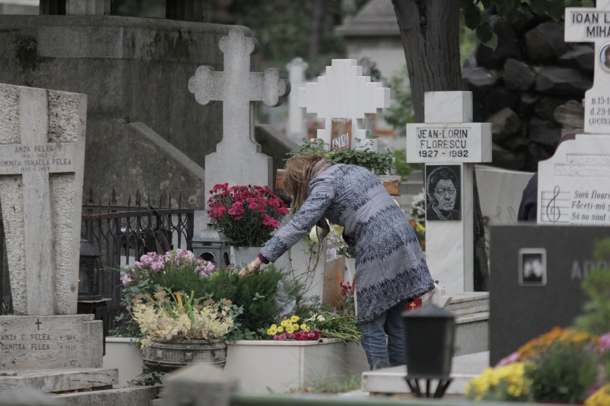 A venit cu un brat de flori