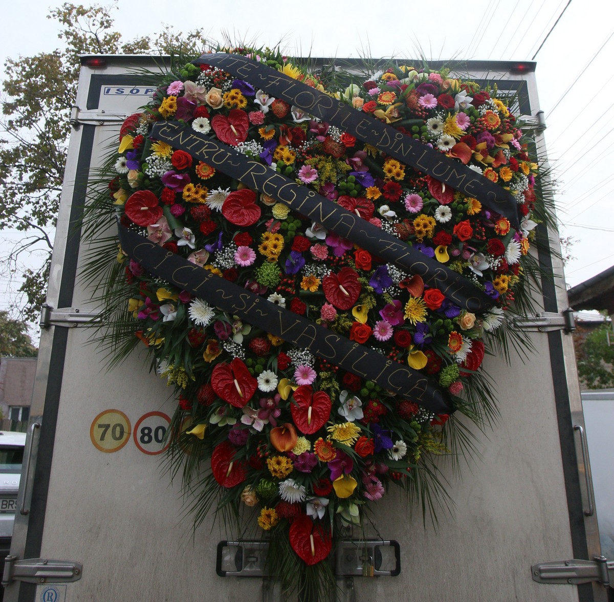 Bambina a iubit foarte mult florile