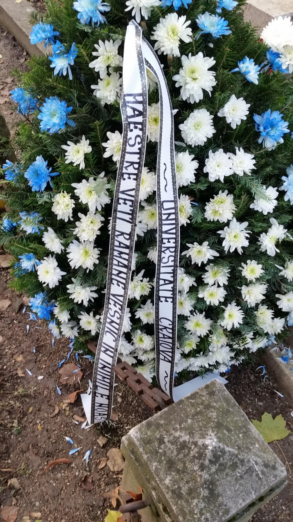 La mormantul lui Paunescu a venit o mare stea a Universitatii Craiova