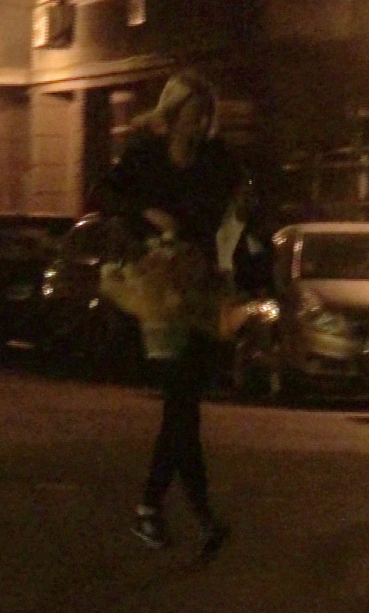 diana dumitrescu cos cu flori