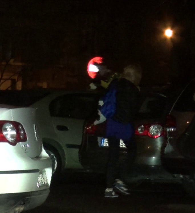 diana dumitrescu cos cu flori