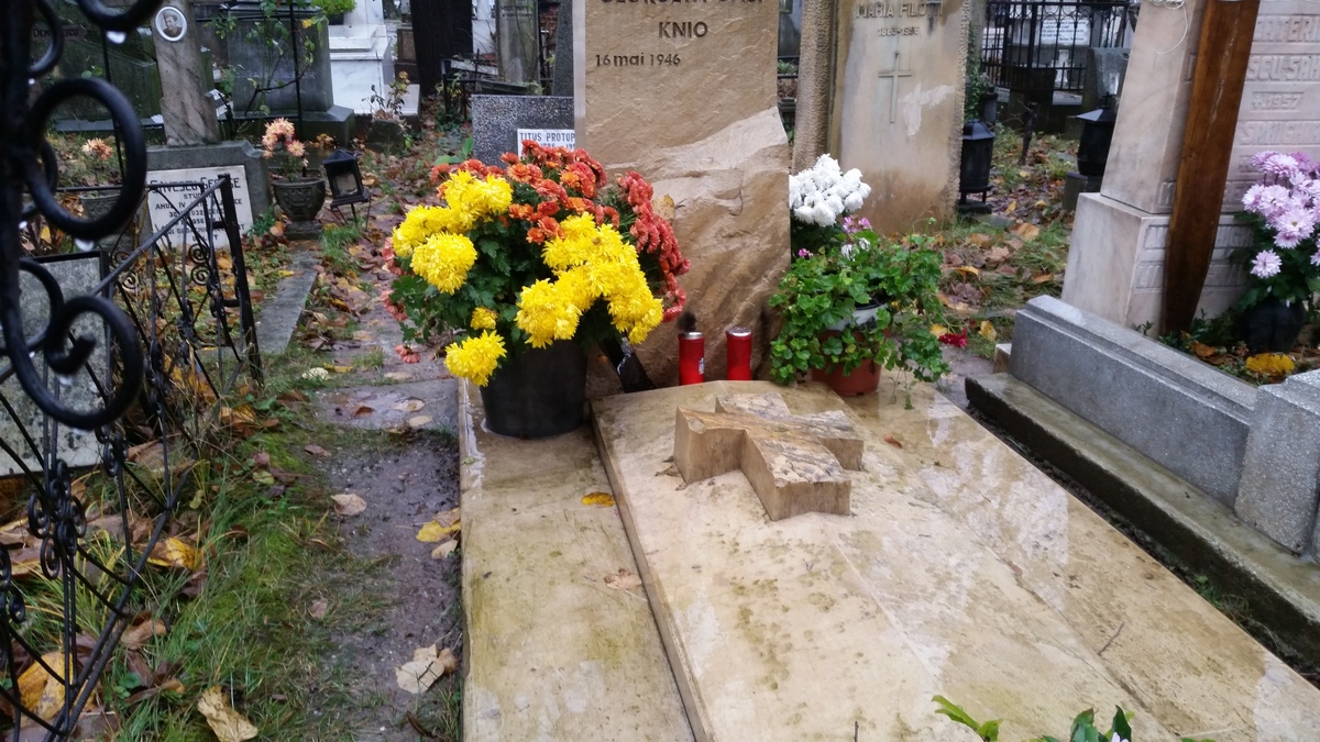 La capataiul maestrului mai vine doar vaduva sa, Gabi