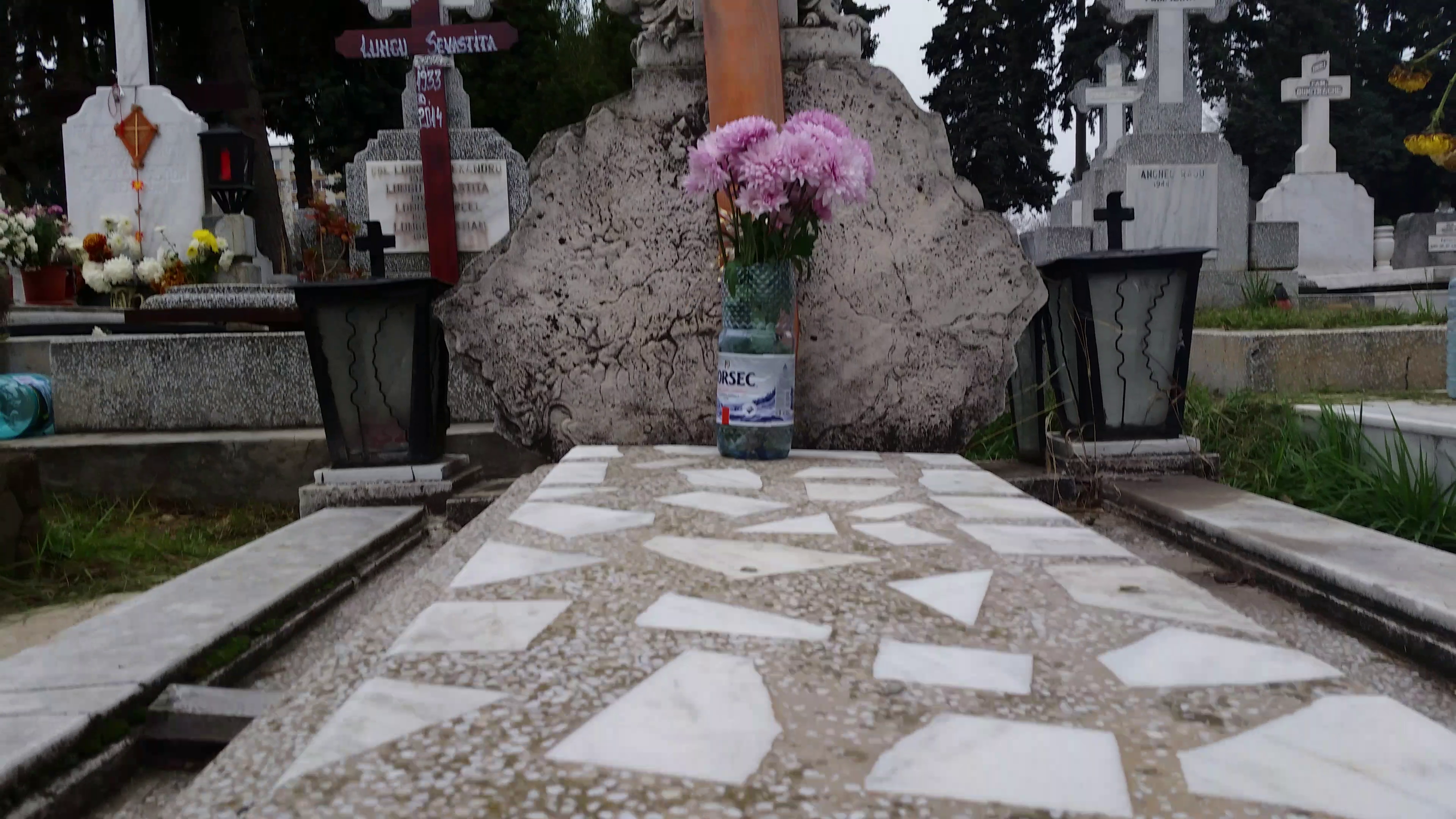 Doar cateva flori stateau zilele trecute pe mormantul artistului