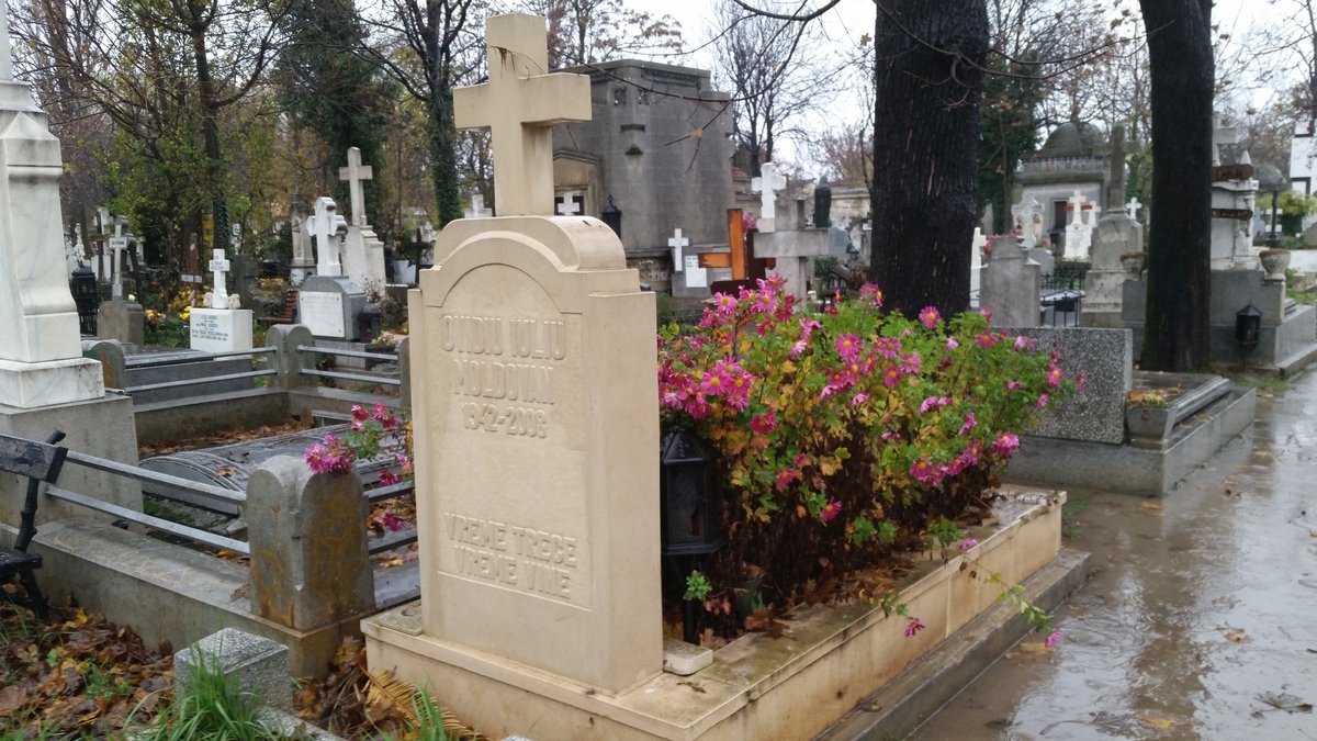 Mormantul lui Ovidiu Iuliu Moldovan a fost dat uitarii