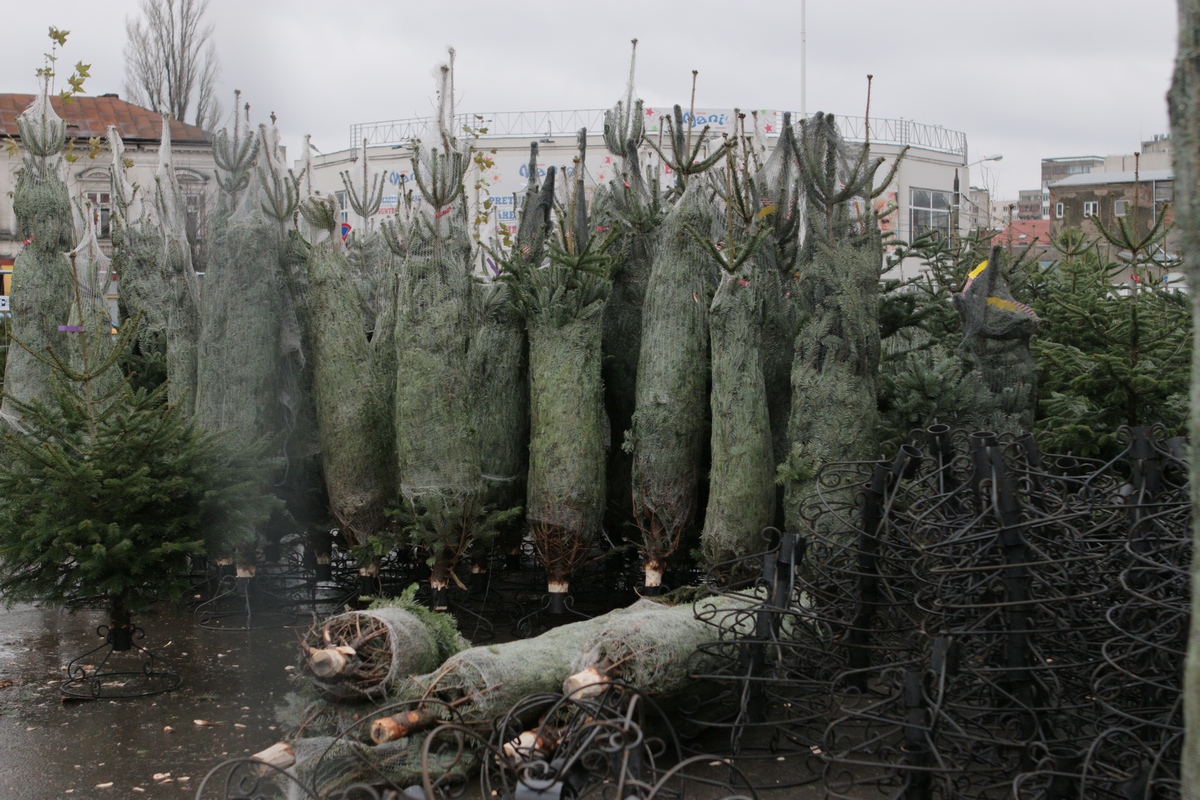In general preturile pornesc de la 59 de lei si ajung chiar si la cateva mii de lei