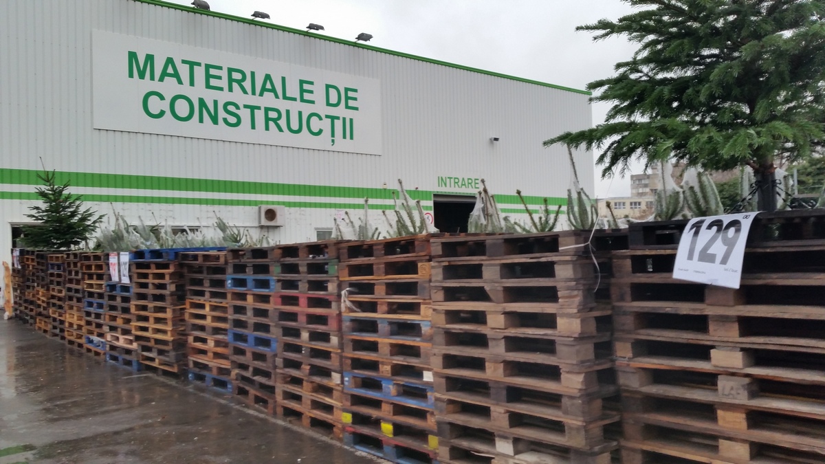 Pana si magazinele de constructii de pe Soseaua Vitan Barzesti au bagat brazi la vanzare