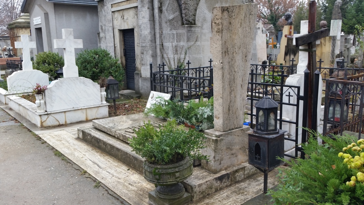 Pellea a trecut in nefiinta acum 31 de ani