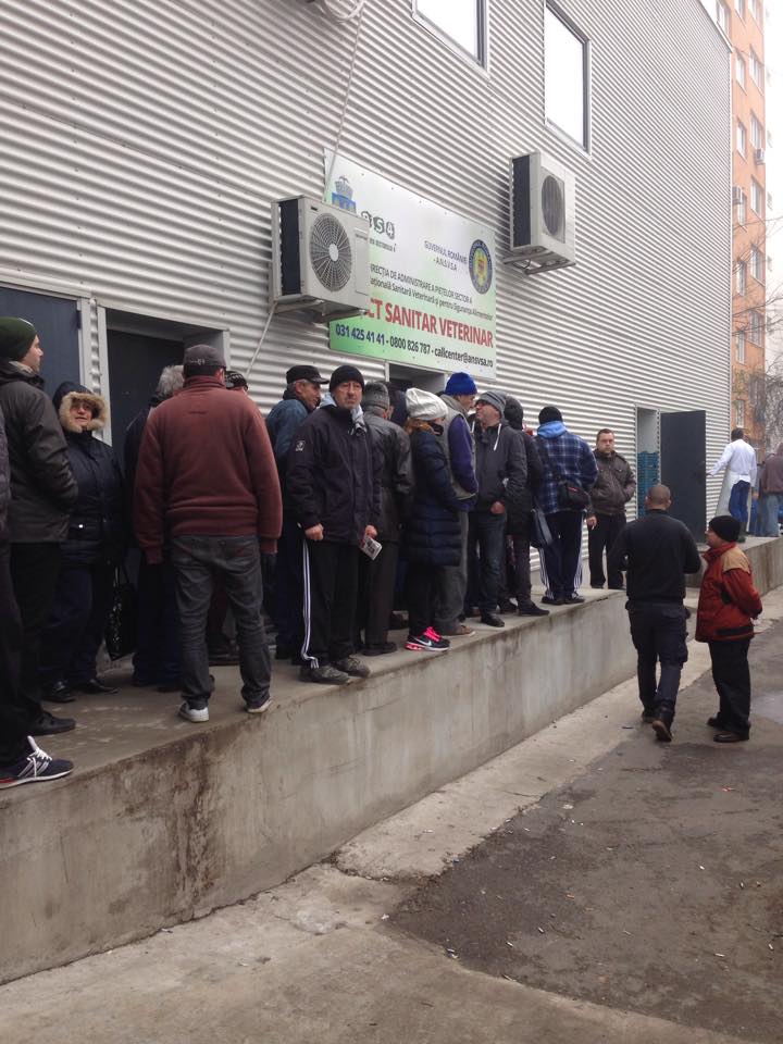 Coada la controlul carnii de porc