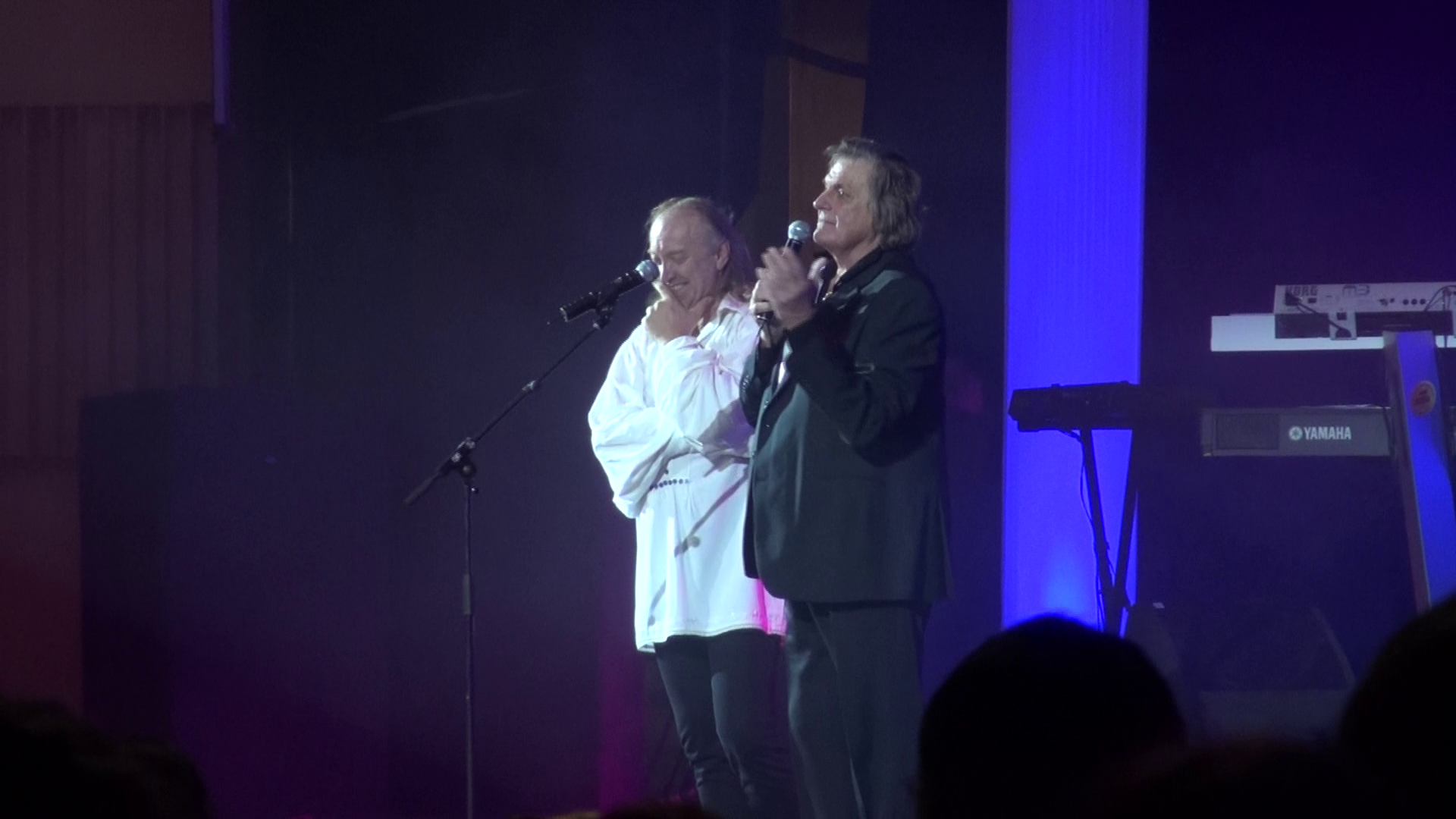 Hrusca si Piersic sunt prieteni de ani buni, dar se vad foarte rar