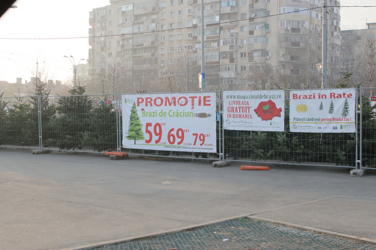 Pomul de Craciun a ajusn sa se vanda in rate