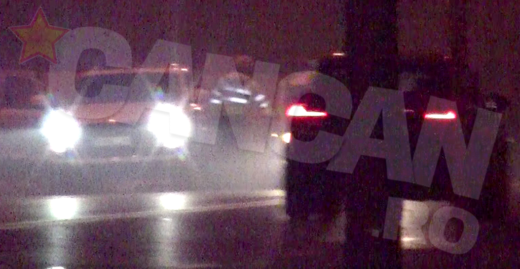 Pe drum, iubitul Vicai si femeia misterioasa au fost opriti de politie