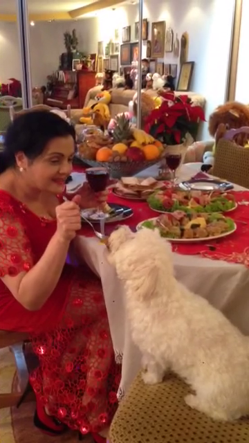 catanga caine sarmale