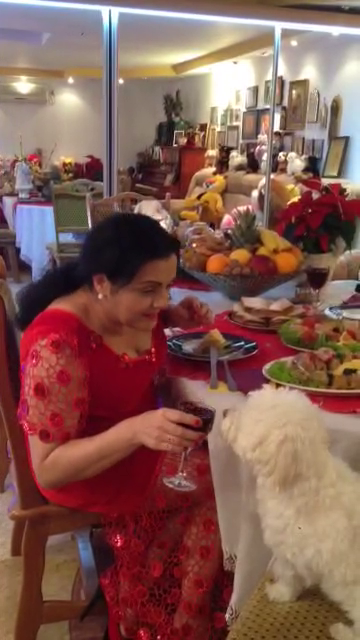 catanga caine sarmale