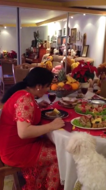 catanga caine sarmale