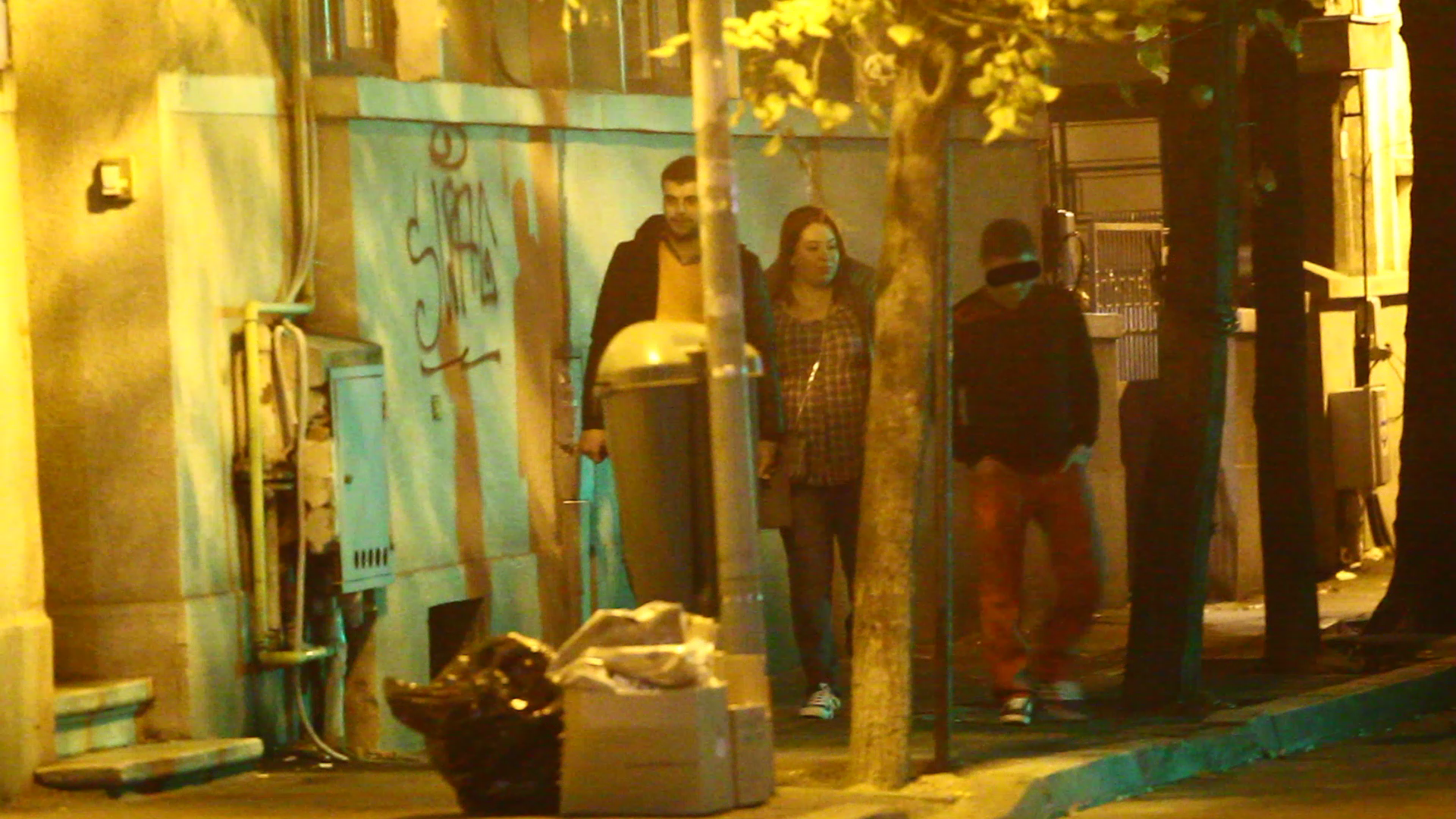 Oana Roman si Marius Elisei