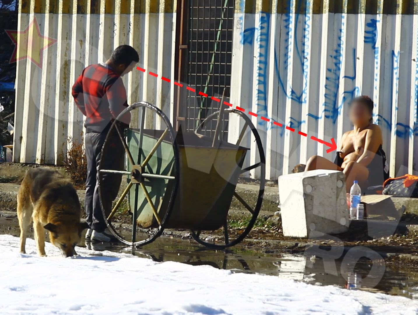 De cand a venit cu tomberonul, barbatul nu a putut sa isi ia ochii de la nurii femeii