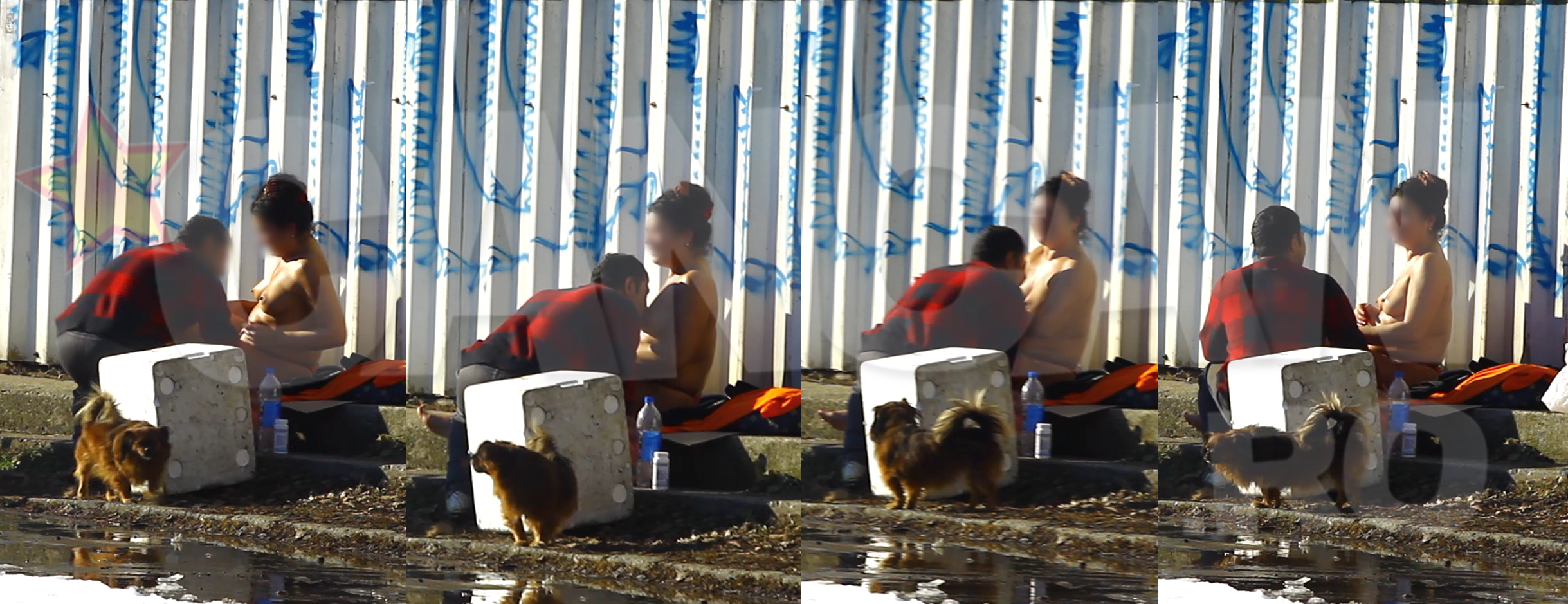 Fara sa stea pe ganduri el s-a napustit sa o sarute pe sani