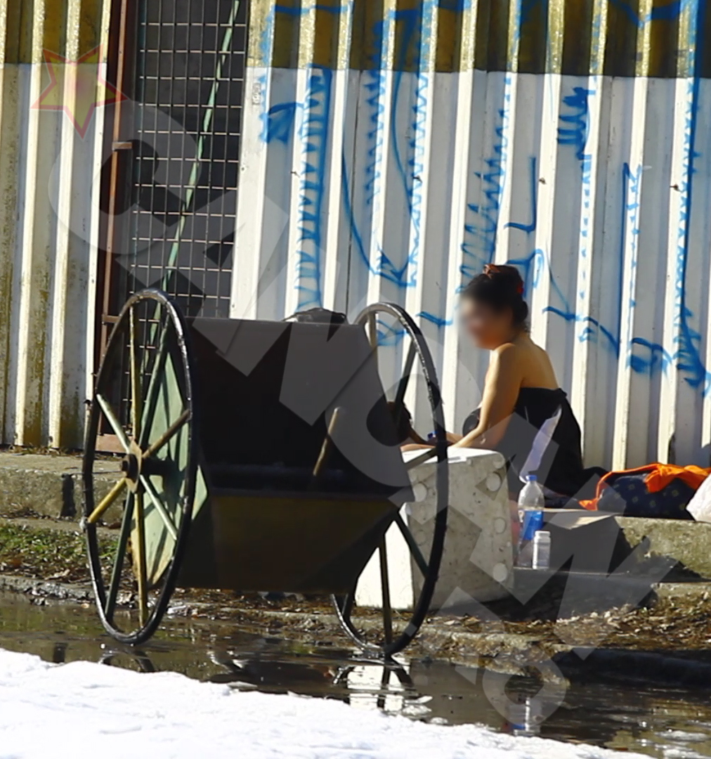 S-a apucat sa ii dezmierde... patrupedul din dotare