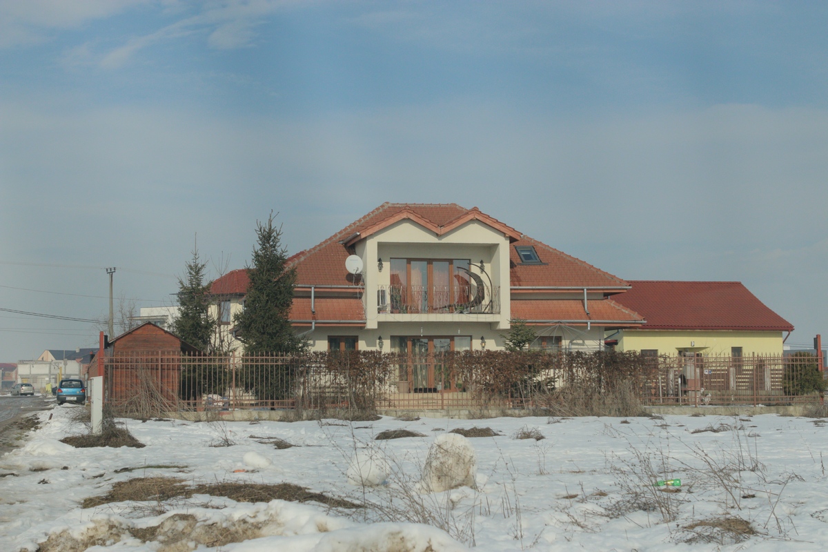 Luni la casa lui Iovan nu erau decat cainii