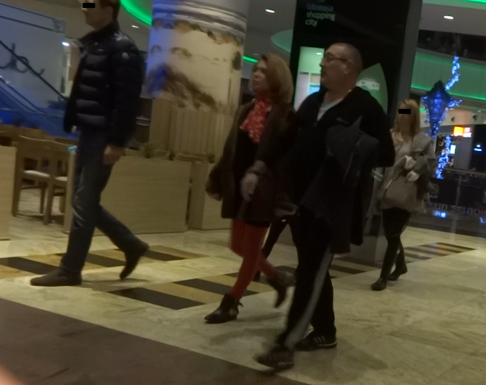 Serghei Mizil s-a plimbat cu sotia prin mall