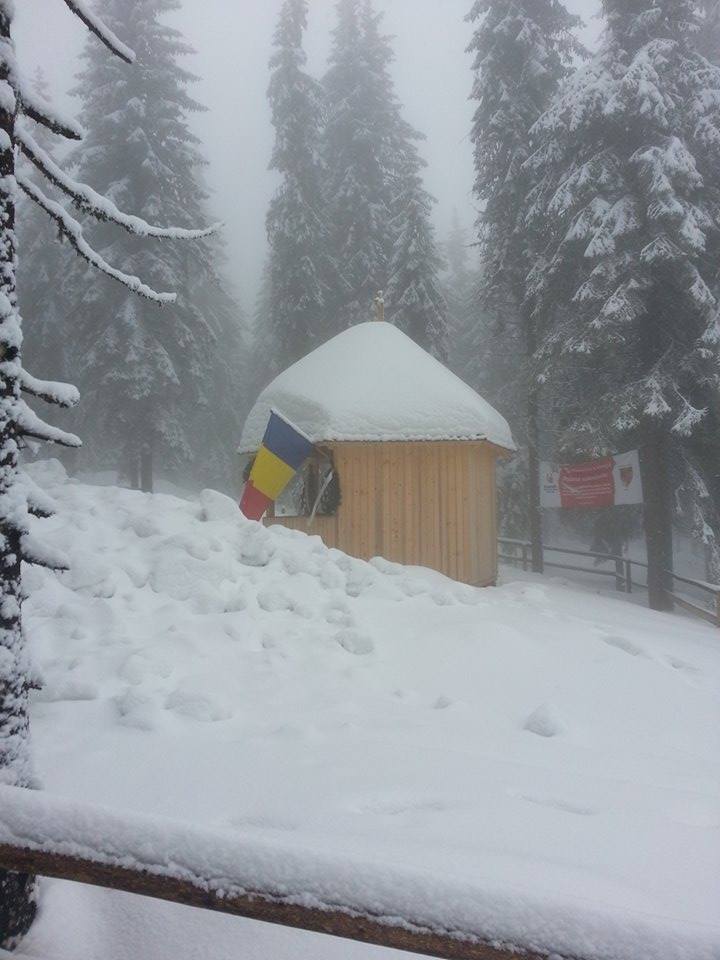 Troita ridicata in Muntii Apuseni