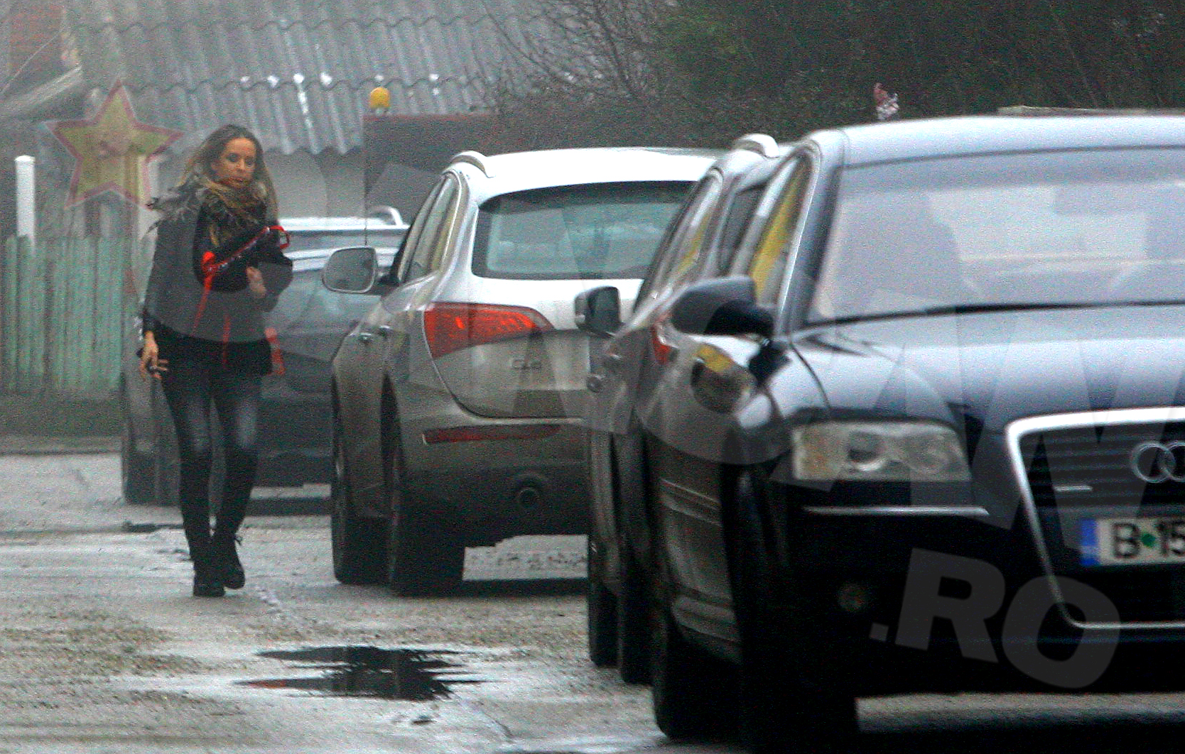 Diana a inflorit dupa divortul de Claudiu Niculescu