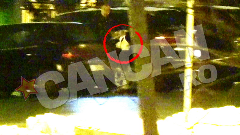 Operatiunea cina. Udrea a comandat de la un restaurant cu specific libanez. Poate ultima masa calda din libertate