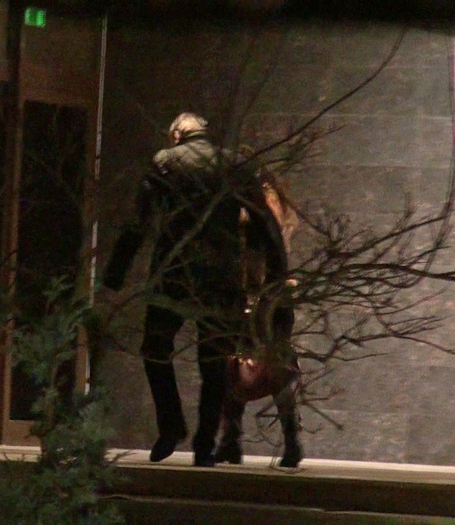 Dinu Gheorghe si iubita lui intra in restaurant