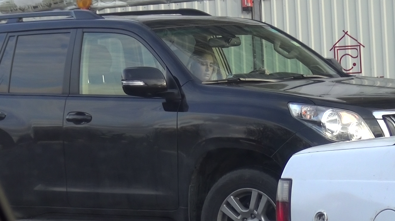 Masina Adinei Niculae valoreaza aproape 100.000 de euro