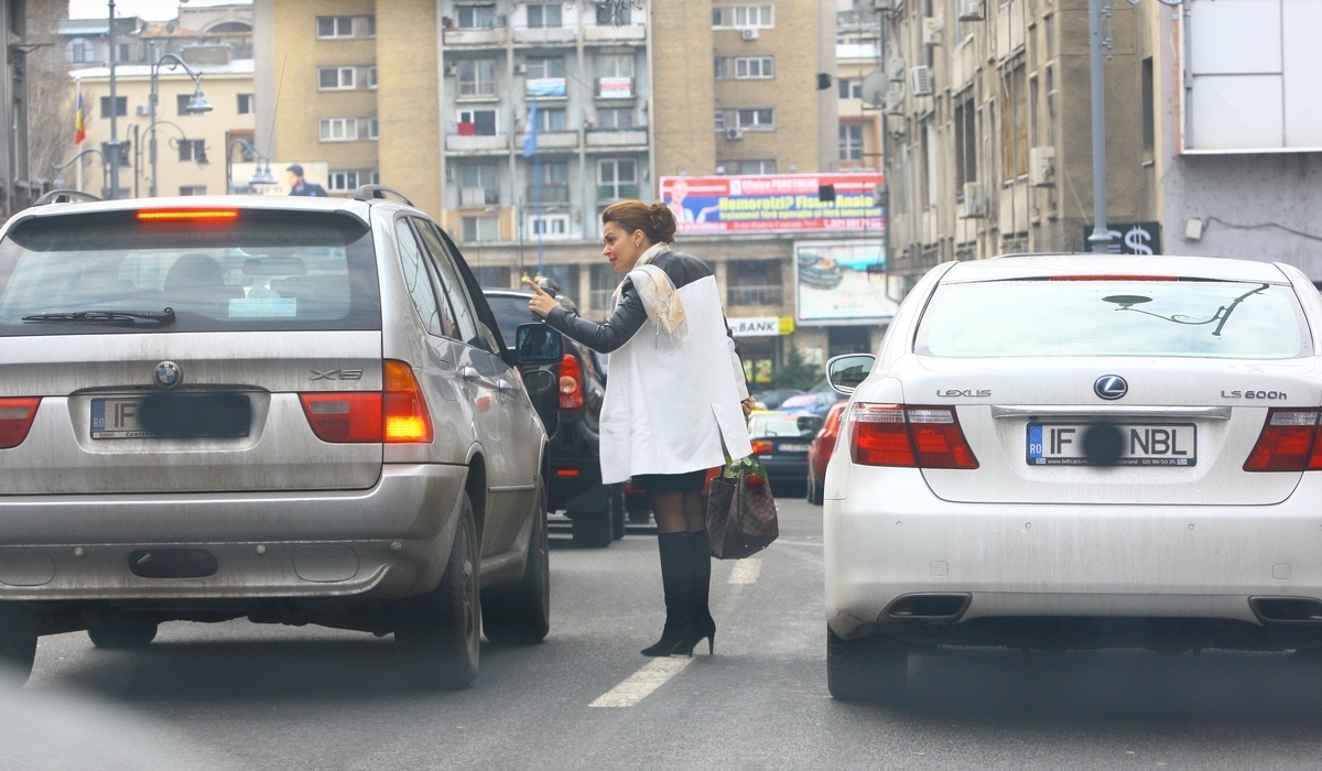 Presedinta ONJN a stat la discutii in mijlocul strazii cu un alt sofer