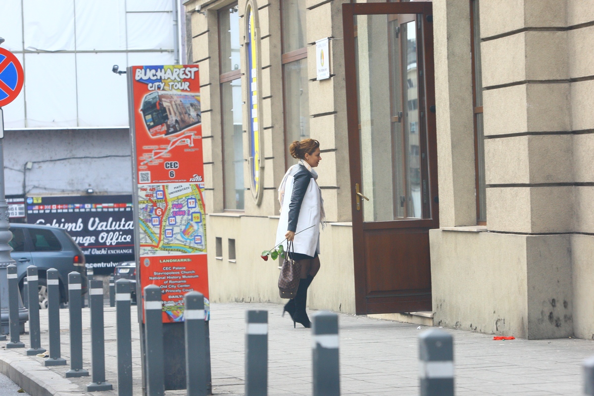 ONJN a fost creat in 2013