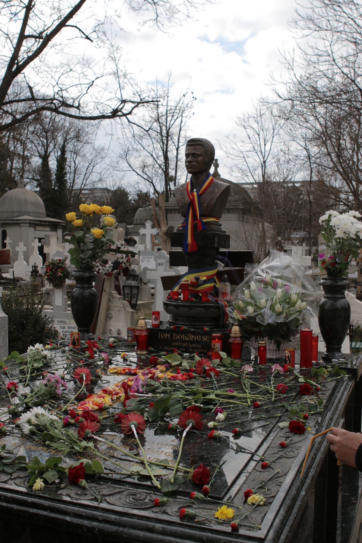 De la parastas au lipsit fii artistului, Ionut si Dragos Dolanescu