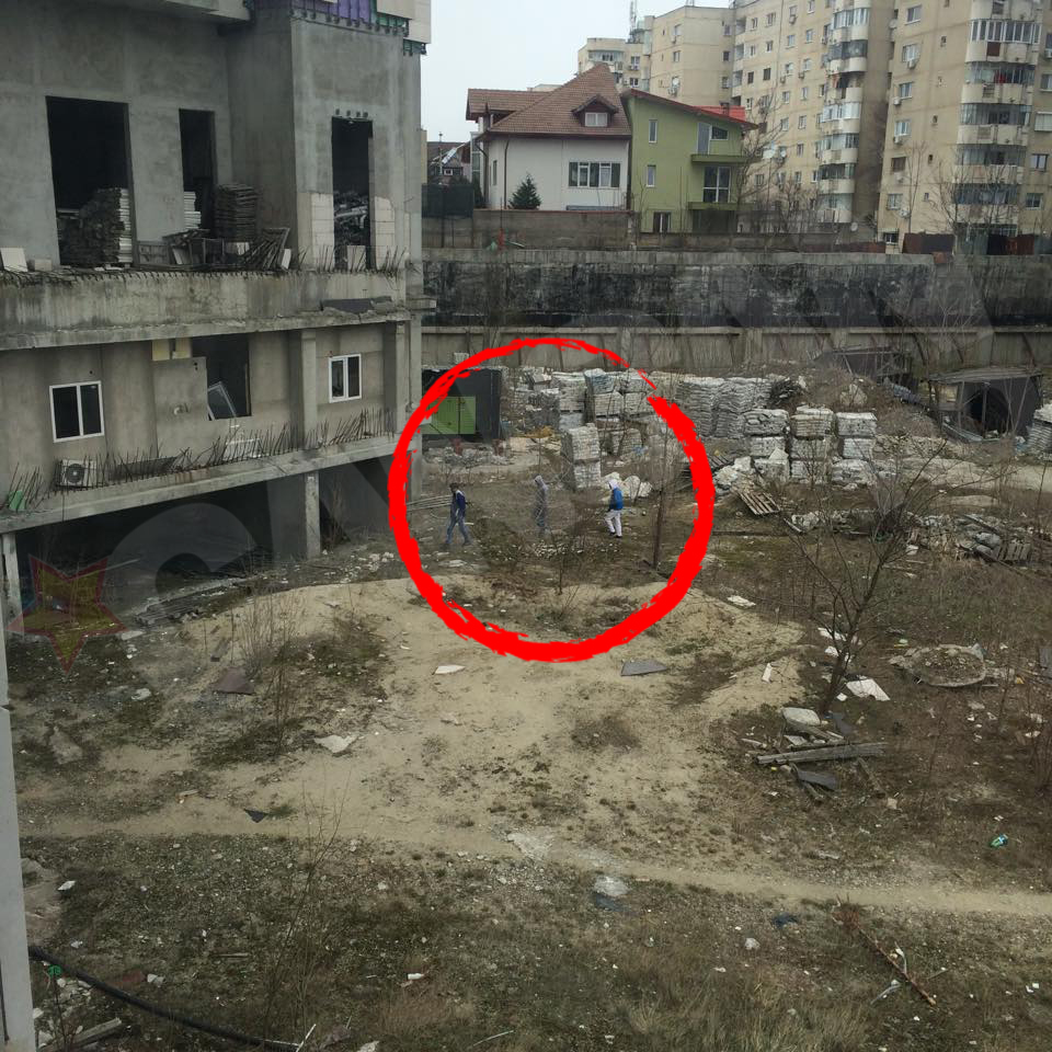 Hotii fura in liniste din complexul Planorama