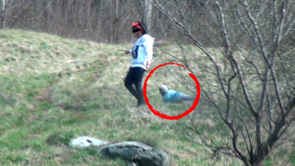 Unul dinte baieti s-a tavalit prin iarba cateva minute bune