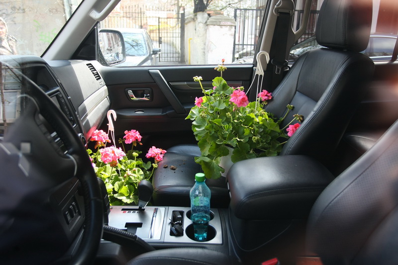 In masina Ioanei se aflau mai multe ghivece de flori