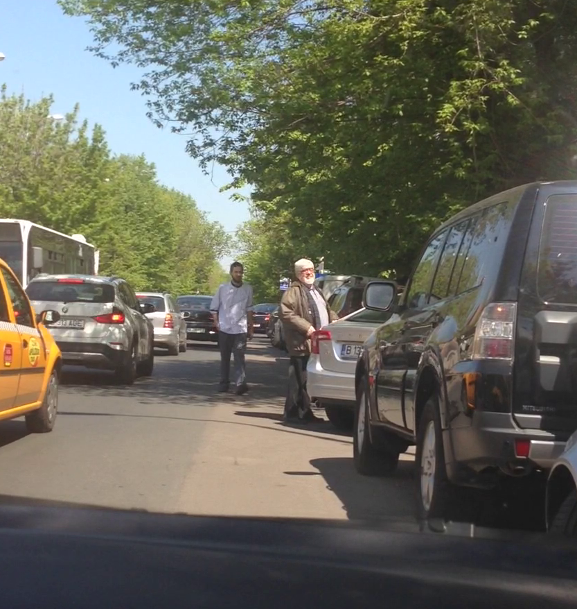 Andrei Plesu este fost ministru al culturii