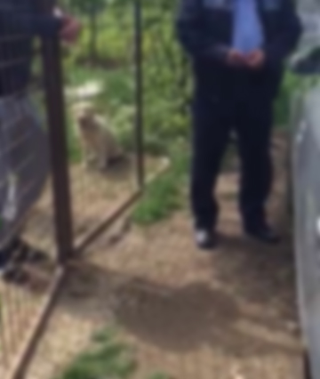 Un echipaj de Politie a venit sa aplaneze conflictul