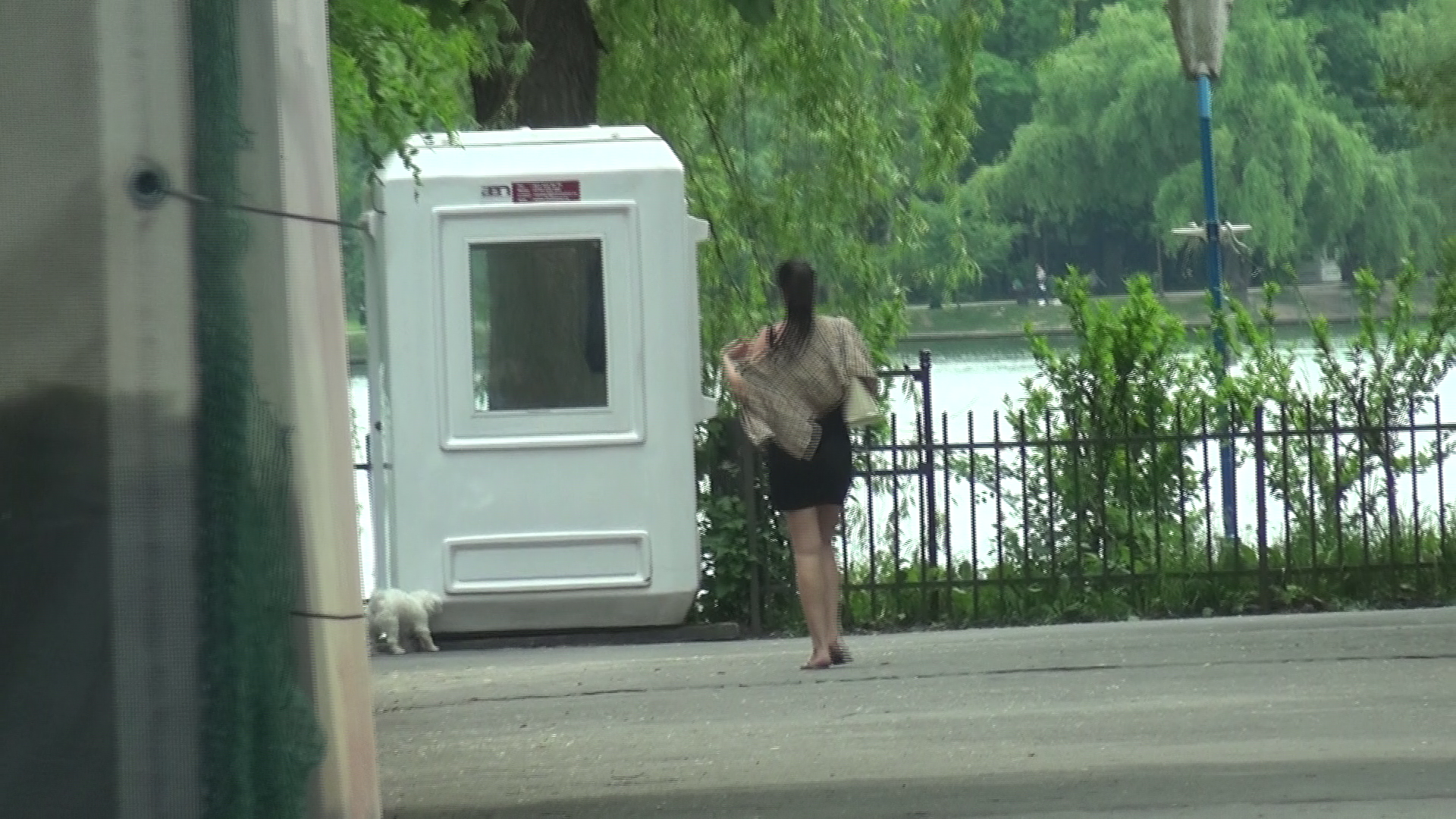 Majoritatea reprezentantilor sexului tare au intors capul dupa ea