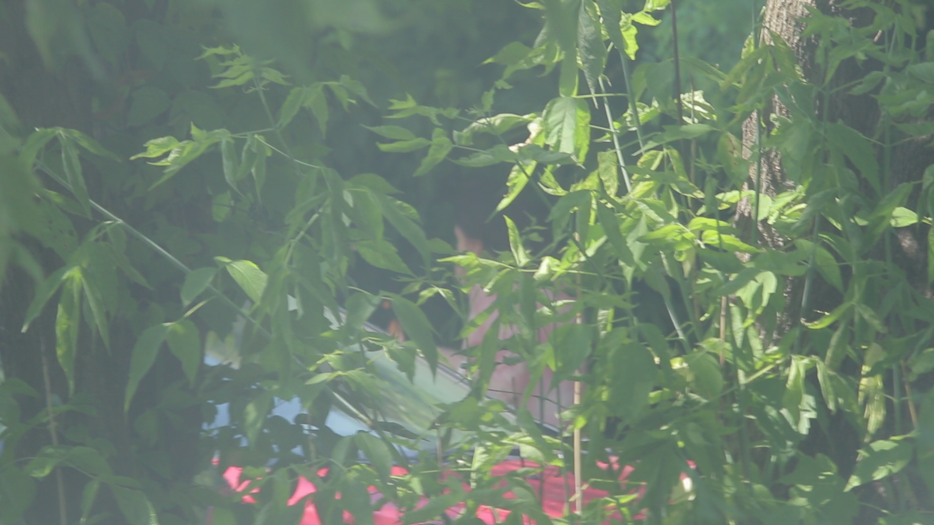 Adriana Iliescu s-a rujat pe fuga chiar inainte sa intre in scoala