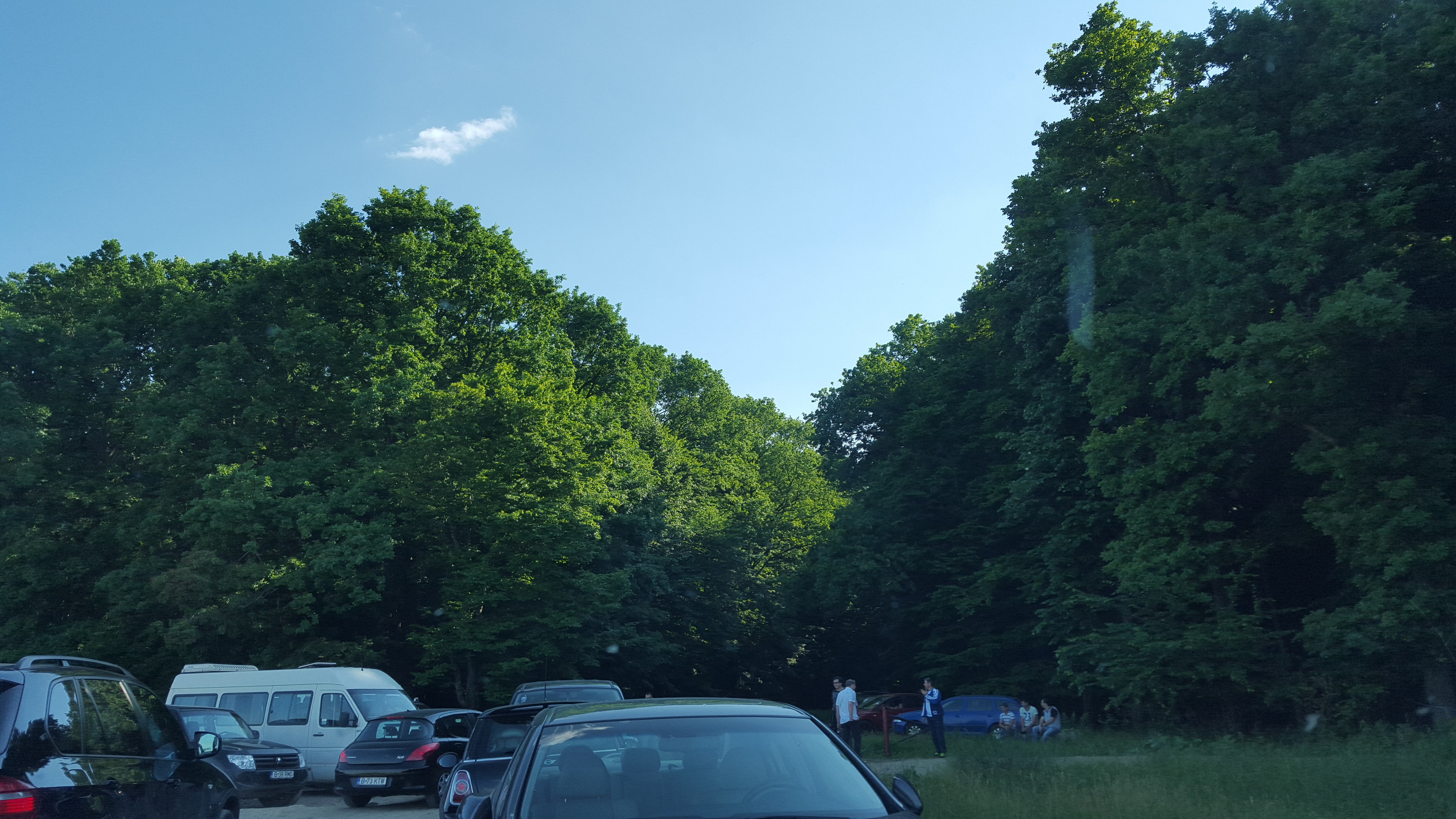 Ferma Vedetelor se afla in mijlocul unei paduri la circa 30 de km de Capitala